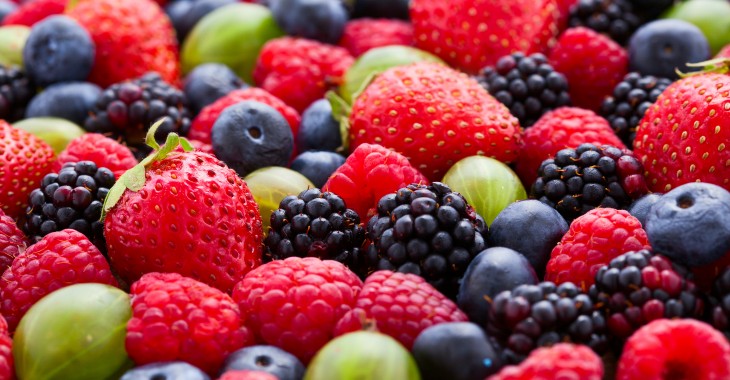Propozycje w zakresie poprawy sytuacji producentów owoców miękkich
