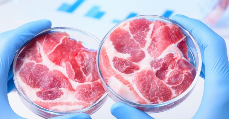 Naukowcy wyhodowali sztuczne mięso w laboratorium
