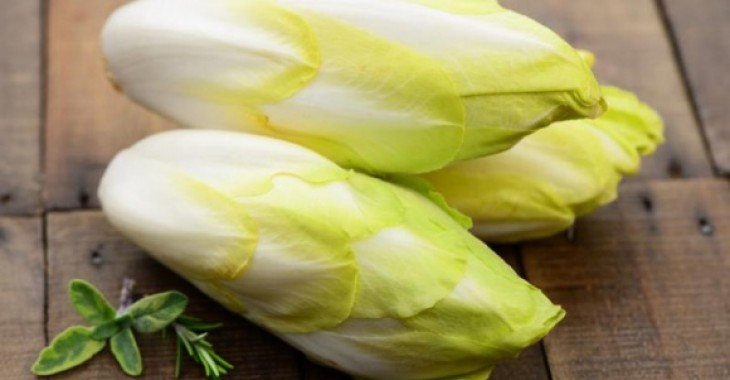 Cykoria – niedoceniane warzywo o świetnych właściwościach