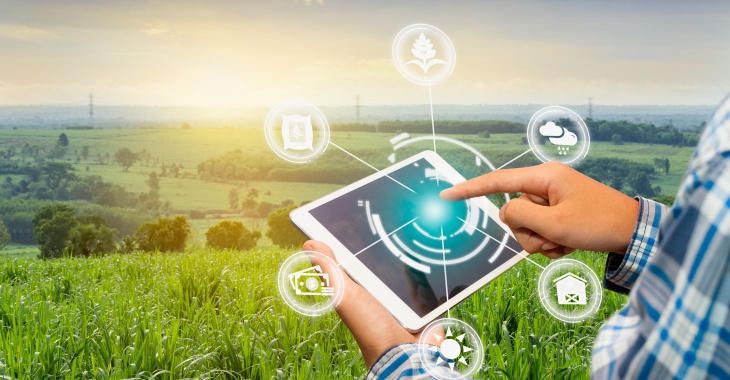 Świeże warzywa z pola na stół z pomocą digitalizacji. Green Holding rośnie w siłę Świeże warzywa z pola na stół z pomocą digitalizacji. Green Holding rośnie w siłę
