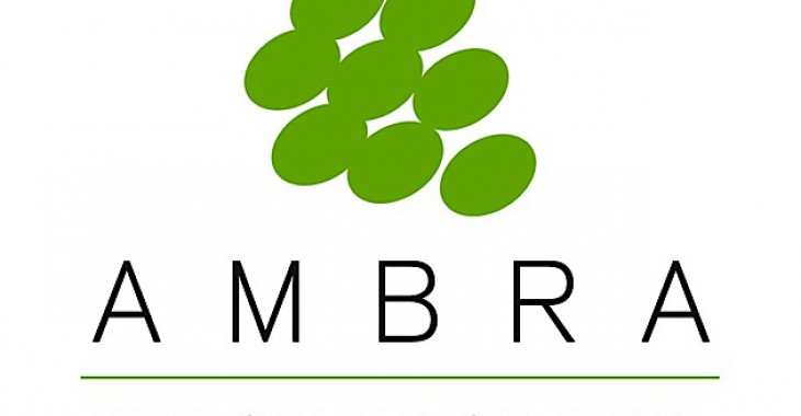 Raport Grupy AMBRA za I kwartał roku obrotowego 2015/2016 Raport Grupy AMBRA za I kwartał roku obrotowego 2015/2016