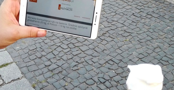KierunekSPOŻYWCZY.pl przy lodach KierunekSPOŻYWCZY.pl przy lodach