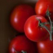 Ruszyła kampania pomidorowa w Pudliszkach