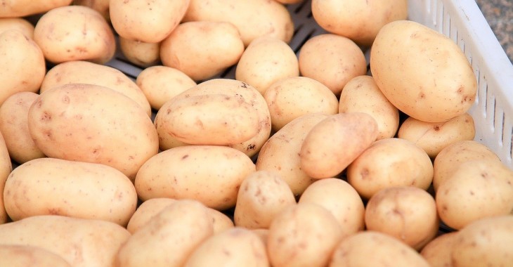 Szwajcarscy producenci ziemniaków tracą miliony