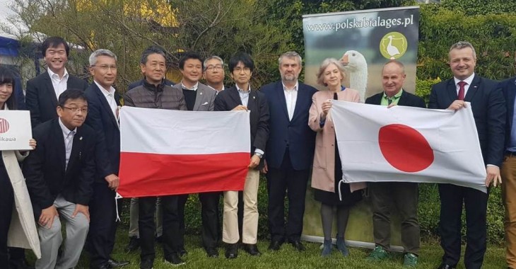 Na Kujawach o polskiej białej gęsi Na Kujawach o polskiej białej gęsi