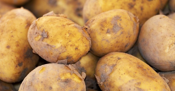 Ukraina importuje ziemniaki z Uzbekistanu po raz pierwszy