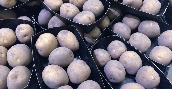 Rekordowo wysoki poziom cen ziemniaków