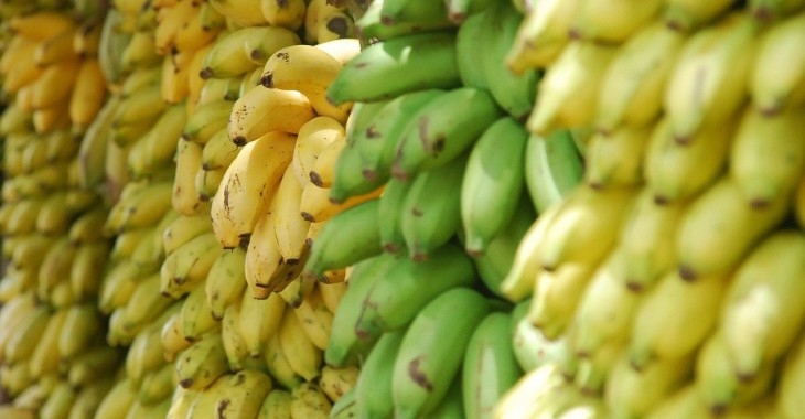 Gwatemala przekroczyła swój limit wywozu bananów do UE