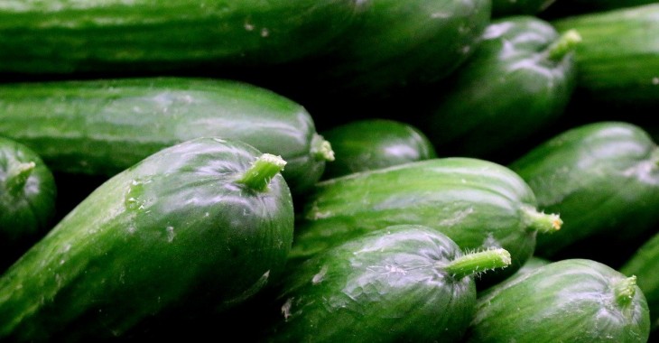 Chorwacja produkuje mniej warzyw do przechowywania Chorwacja produkuje mniej warzyw do przechowywania