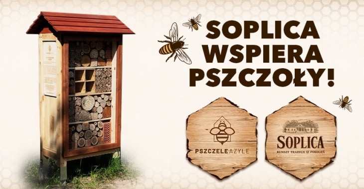Soplica buduje „Pszczele Azyle” Soplica buduje „Pszczele Azyle”