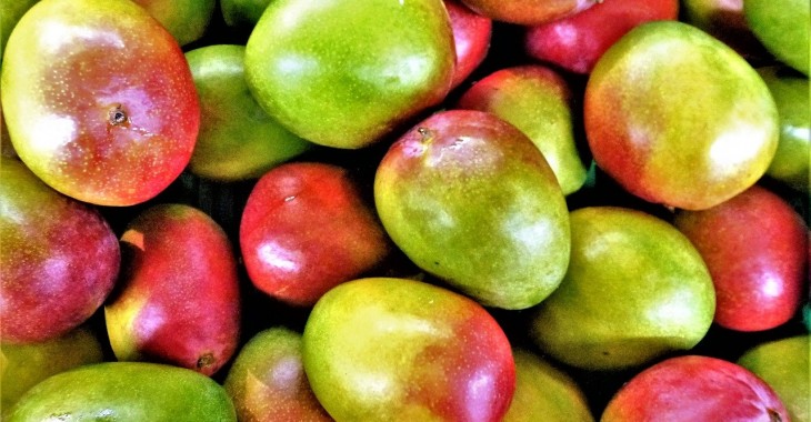 Hiszpania jest wiodącym producentem mango w Europie
