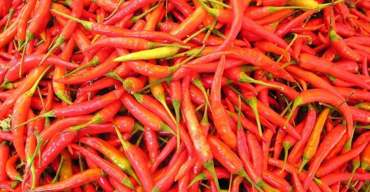 NASA będzie próbowała hodować papryczki chilli w kosmosie NASA będzie próbowała hodować papryczki chilli w kosmosie