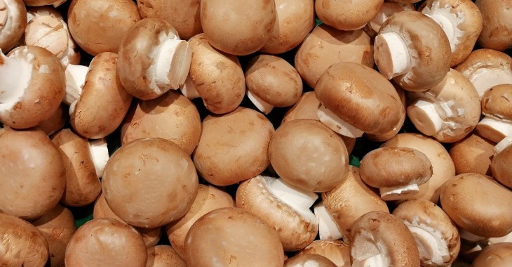 Wielka Brytania jest samowystarczalna w produkcji grzybów Wielka Brytania jest samowystarczalna w produkcji grzybów