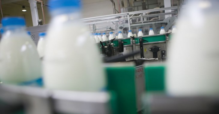 Spółdzielnie i zakłady mleczarskie zrzeszone w Polskiej Izbie Mleka pracują na maksymalnych obrotach