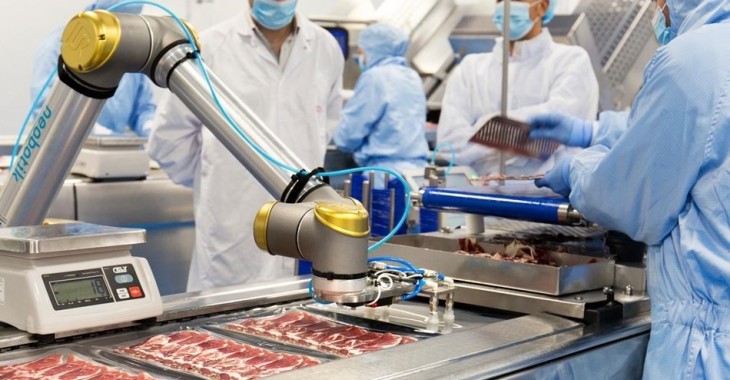 Roboty współpracujące – potencjał automatyzacji w sektorze spożywczym Roboty współpracujące – potencjał automatyzacji w sektorze spożywczym