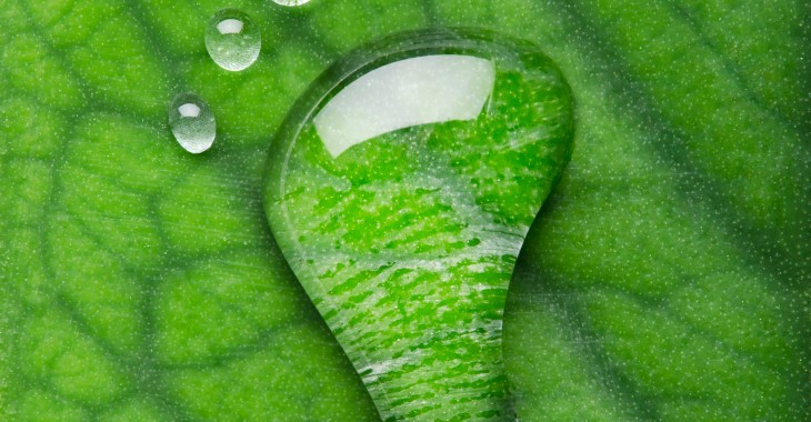 Green claims – czym są i jak je stosować w zgodzie z przepisami? Green claims – czym są i jak je stosować w zgodzie z przepisami?