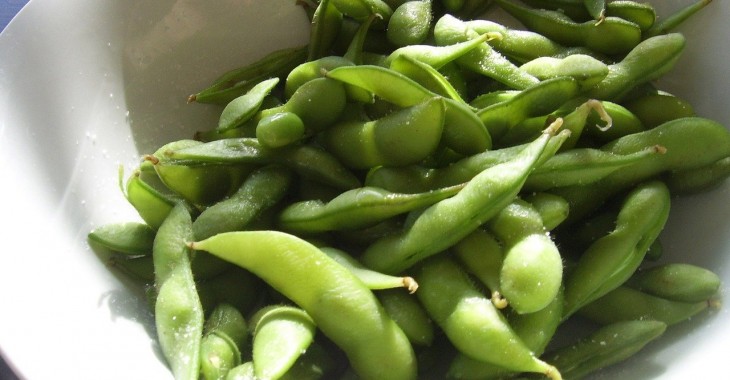 Światowa produkcja nasion oleistych dotknięta niższą produkcją soi Światowa produkcja nasion oleistych dotknięta niższą produkcją soi