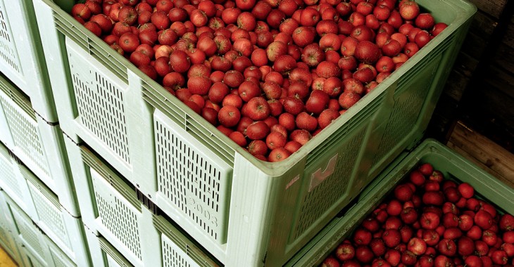 Owocna logistyka, czyli pojemniki zwrotne dla branży agro