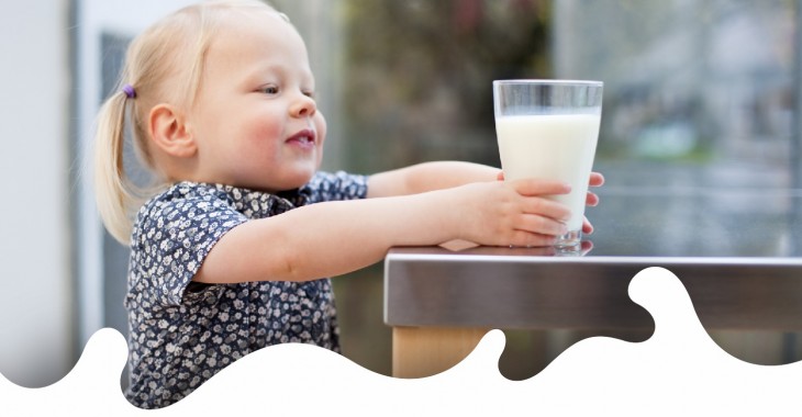 Jedna szklanka mleka dostarcza naszemu organizmowi niezbędnych 18 składników, których potrzebujemy każdego dnia. W ramach kampanii „Mamy kota na punkcie mleka”, sfinansowanej z Funduszu Promocji Mleka