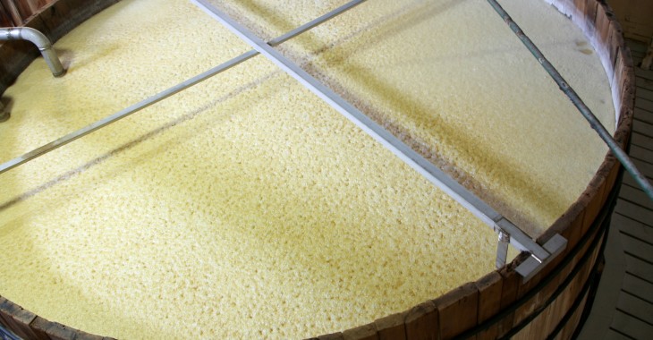Bakterie fermentacji mlekowej w produkcji piwa Bakterie fermentacji mlekowej w produkcji piwa