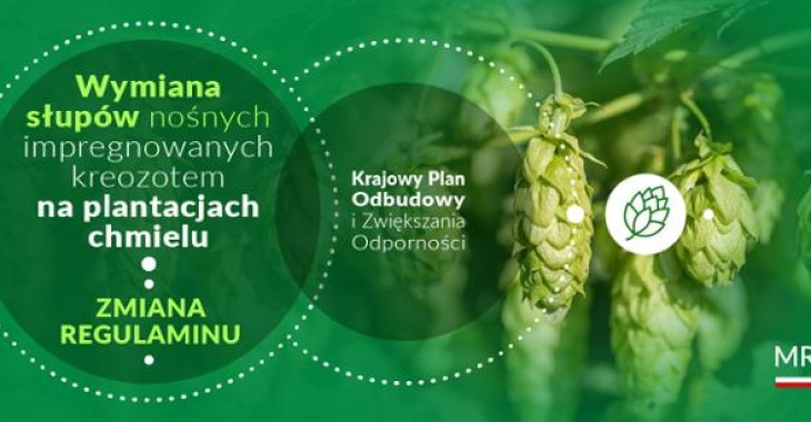 Wsparcie plantatorów chmielu Wsparcie plantatorów chmielu