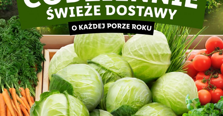 Codzienne świeże dostawy o każdej porze roku – nowa kampania Lidl Polska Codzienne świeże dostawy o każdej porze roku – nowa kampania Lidl Polska