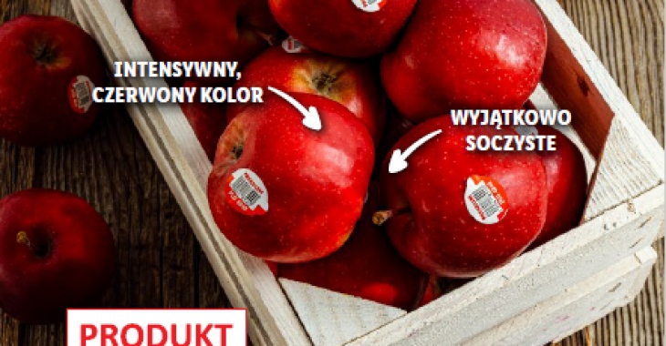 Świeża selekcja polskich jabłek w Lidl Polska – sieć promuje jabłka od krajowych sadowników Świeża selekcja polskich jabłek w Lidl Polska – sieć promuje jabłka od krajowych sadowników